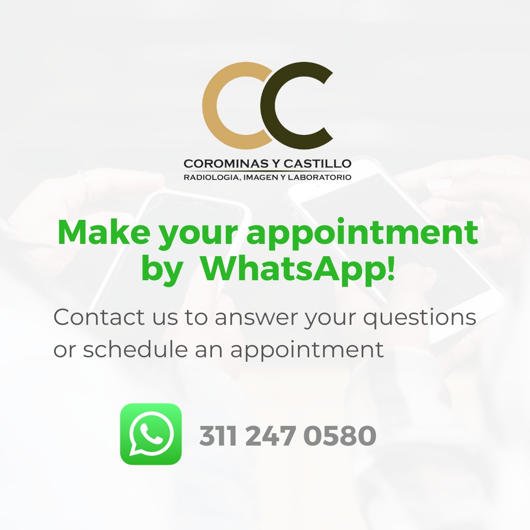 Whatsapp Contact