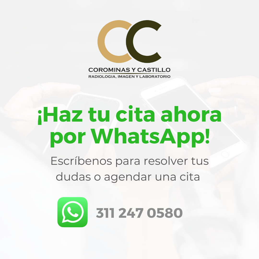 Contacto WhatsApp